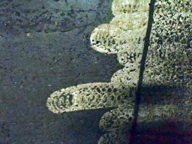 水路補修洗浄